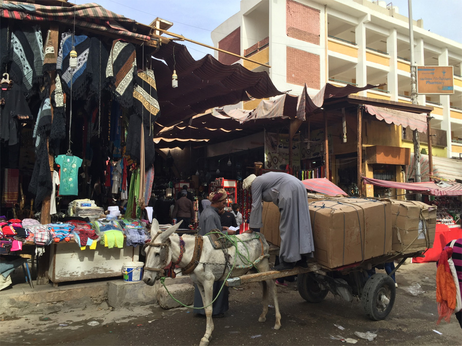 ▲ 아스완의 Old Bazaar전통시장 입구에서 당나귀에 짐을 옮겨싣는 상인. 이곳에는 진귀한 물품들이 즐비한데, 아시아계 사람이 드물어 모두들 나를 구경하기 위해 모여들 정도였다.