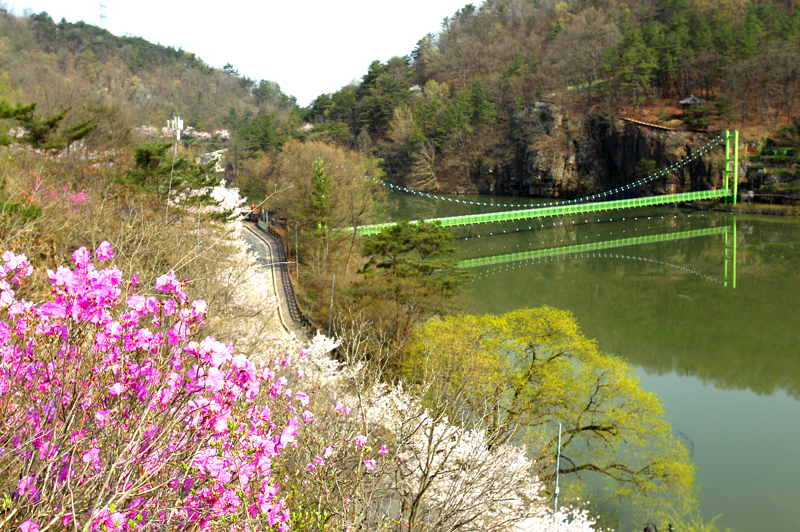 ▲ 함안군 산인면 입곡군립공원 전경. 봄이면 저수지 주변 산책로의 벚꽃이 장관을 이룬다.