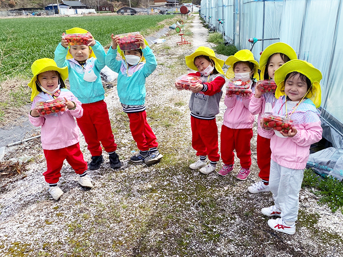 ▲ 하동 화개초 본·분교 유치원 아이들이 직접 딴 딸기를 들고 기념사진을 촬영하고 있다.