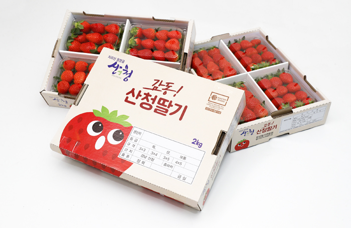 ▲ 산청군농업기술센터가 딸기농가 맞춤형 ‘딸기 양액처방 컨설팅’을 실시하고 있다.