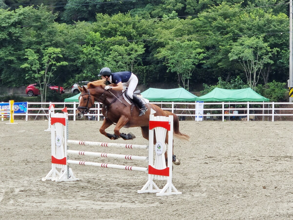제1회 경상남도 승마협회장배 전국승마대회에 참가한 선수가 말과 함께 장애물을 뛰어넘고 있다.