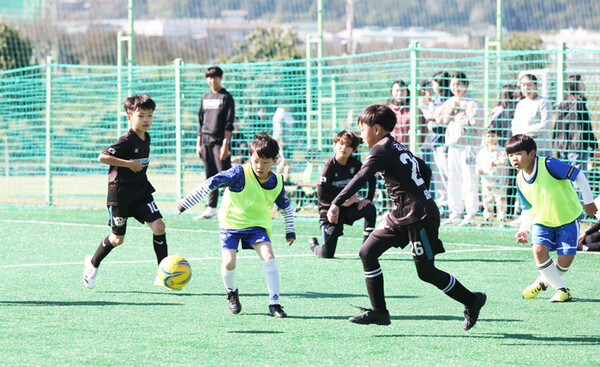 ‘제15회 생활체육 초·중·고 풋살대회’에 참여한 선수들이 기량을 펼치고 있다.