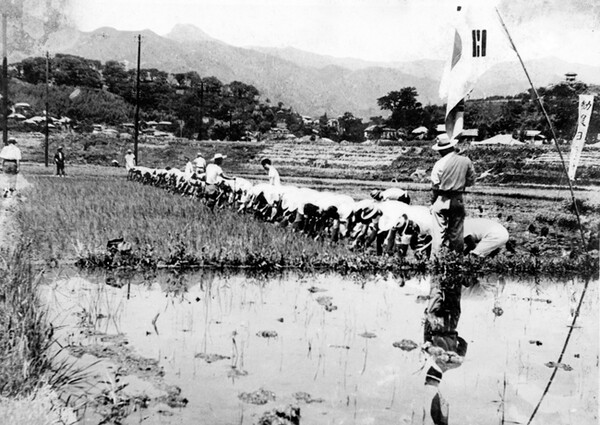 1956년 근농일 행사 광경.